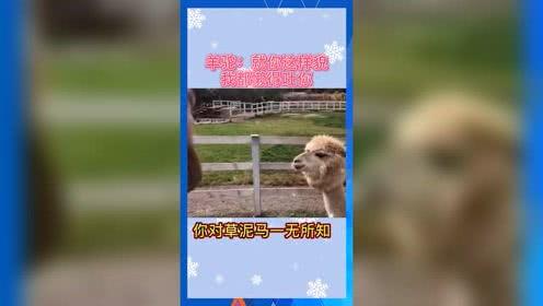 娱乐吃瓜2022,盘点年度热点事件与明星幕后故事
